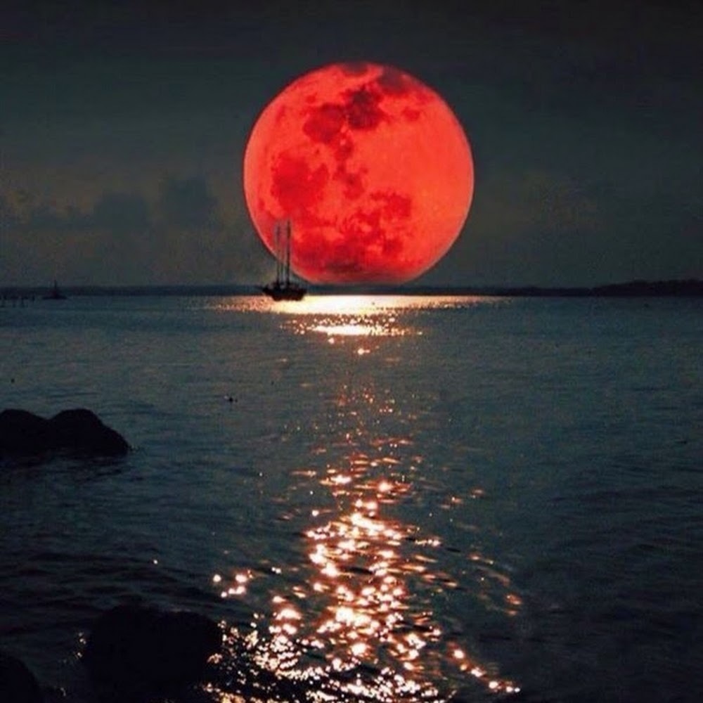 Meet your Posher, Leel